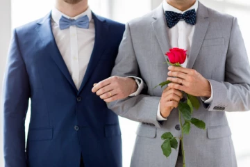 ஒரே பாலினத்தின திருமணத்தால் எப்படி குழந்தை பெற முடியும்? கர்தினால் கேள்வி