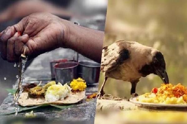 மாசி மாத அமாவாசை ; முன்னோர்களின் ஆசிப்பெற்று வாழ்வில் வளம் பெற செய்ய வேண்டியவை | Masi Month New Moon If You Fast You Will Benefit