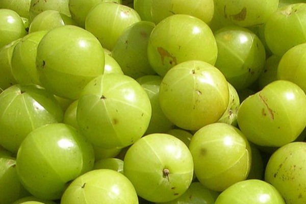 கொலஸ்ட்ராலை விரட்டியடிக்கும் நான்கு பொருட்கள்! | Four Things That Repel Cholesterol