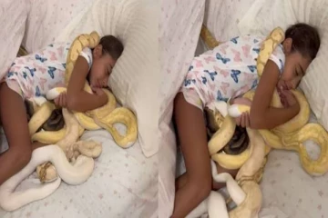 Viral video: பாம்புகளுக்கு இடையில் தூங்கும் சிறுமி.. நடுங்கவைக்கும் காட்சி