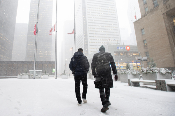 கனடாவின் இந்தப் பகுதியில் பனிப்புயல் குறித்து எச்சரிக்கை | Winter Storm Warning Parts Of Gta