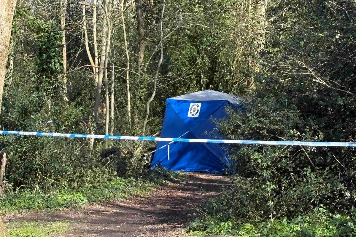 பூங்காவில் குப்பைத் தொட்டிக்குள் இருந்து ஆண் உடல் மீட்பு | Male Body Recovered From Trash Bin In Park பூங்காவில் குப்பைத் தொட்டிக்குள் இருந்து ஆண் உடல் மீட்பு | Male Body Recovered From Trash Bin In Park