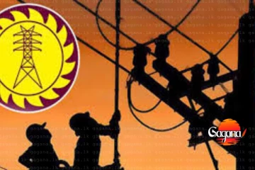 පැය ගාණක් ආයෙත් රටම අදුරට? - විදුලි වෘත්තිය සමිති 24 ක් වර්ජනයට