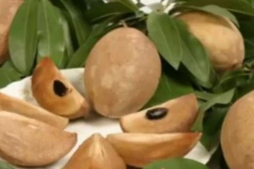 தோலின் சுருக்கங்கள் ஏற்படாமல் தடுக்க, தூக்கம் நன்றாக கிடைக்க இந்த பழத்தை நன்றாக சாப்பிடுங்க!