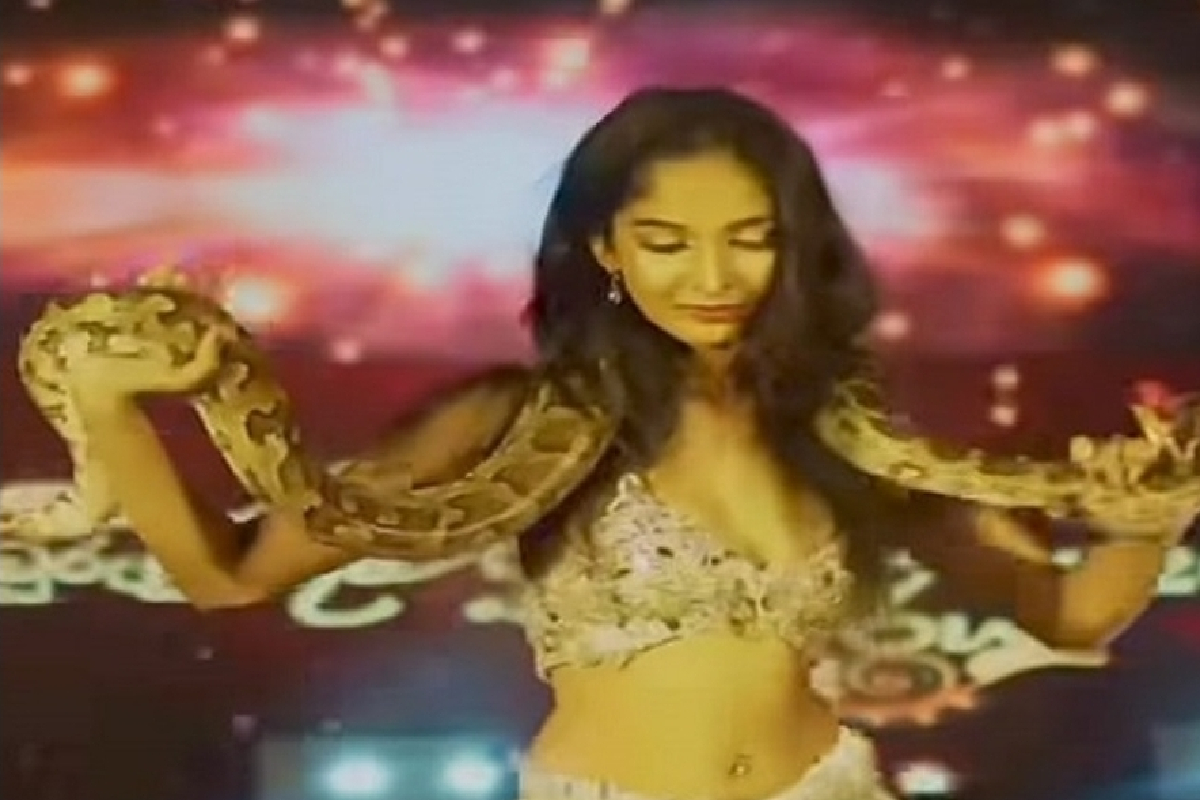 கொழும்பில் மலைப்பாம்புடன் நடனம்; யுவதியை தேடும் அதிகாரிகள் | Girl Dancing With A Python In Colombo