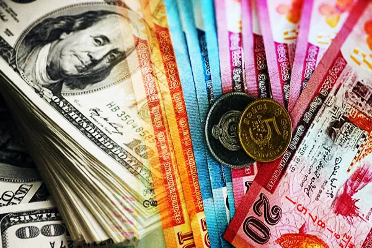 டொலருக்கு எதிராக இலங்கை ரூபாயின் பெறுமதி சிறிதளவு உயர்வு | Value Sri Lankan Rupee Rises Dollar Today Sep 22