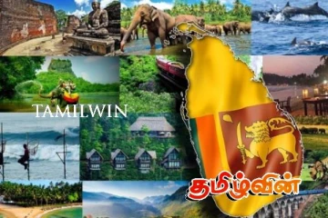 2 மில்லியனை அண்மித்துள்ள சுற்றுலாப் பயணிகளின் எண்ணிக்கை