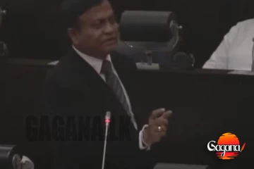 ආර්යාවට පෙරේතකමක් ආවා දැම්මා කැබිනට් පත්රිකාව ලියාගත්තා නමට කියලා, මෛත්රීපාලගෙයි චන්ද්රිකාගෙයි පෙරේතකම රටටම කියන වටගල