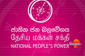 පෑලියගොඩ නගර සභාවේ අයවැයත් මාලිමාව පරදී