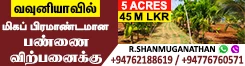 Farm for Sale with House - Vavuniya