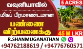 Farm for Sale with House - Vavuniya