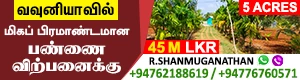 Farm for Sale with House - Vavuniya