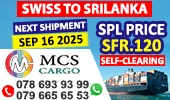 MCS Cargo